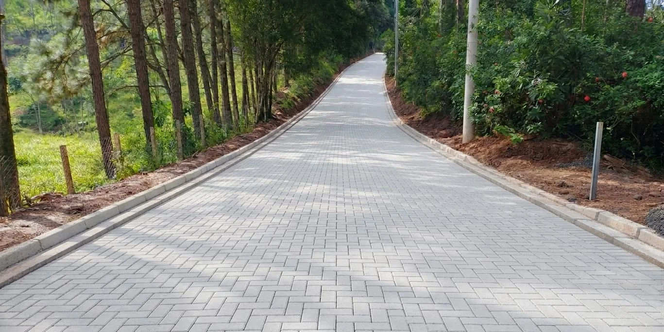 Via arborizada com pavimento intertravado concluído